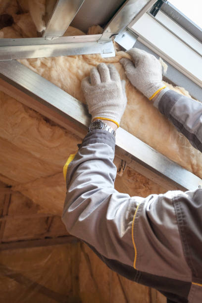 Best Crawl Space Insulation  in South Connellsville, PA