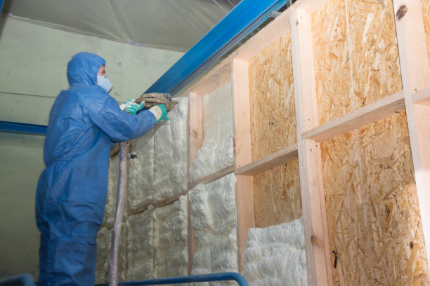 Best Insulation Replacement Services  in South Connellsville, PA